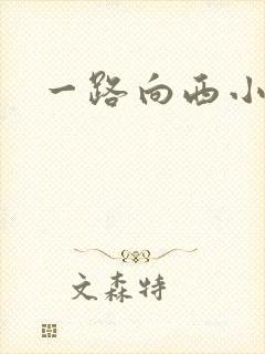 一路向西小说
