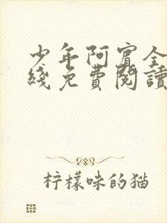 少年阿宾全文在线免费阅读