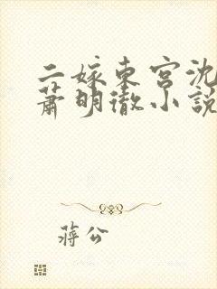二嫁东宫沈雨燃萧明彻小说免费阅读全文
