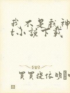 我不是戏神txt小说下载封面