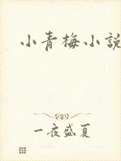 小青梅小说