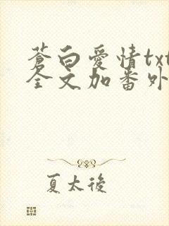 苍白爱情txt全文加番外