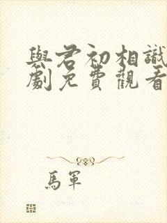 与君初相识电视剧免费观看完整封面