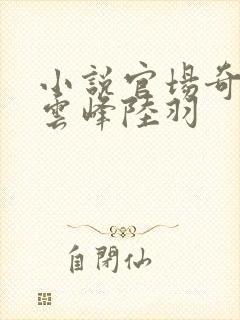 小说官场奇才刘云峰陆羽