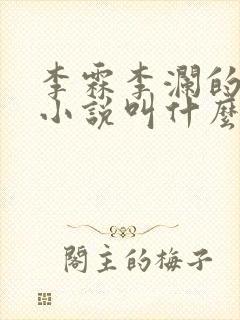 李霖李澜的官场小说叫什么名字啊封面