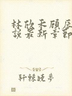 林欣禾顾辰昀小说最新章节免费阅读封面