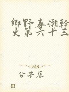 乡野春潮干柴烈火第六十三章封面