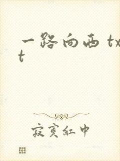 一路向西 txt封面