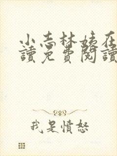 小志林姨在线阅读免费阅读