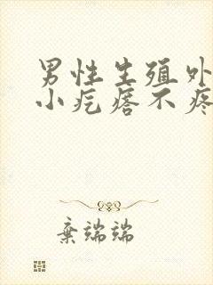 男性生殖外皮有小疙瘩不疼不痒