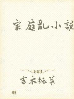 家庭乱小说封面