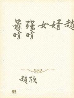 最强女婿赵旭李晴晴