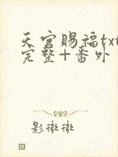 天官赐福txt完整+番外 txt下载