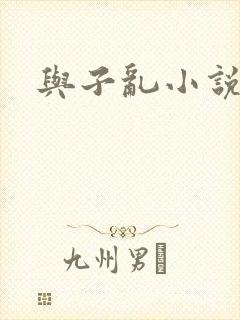 与子乱小说封面