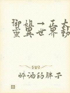 御姐→正太→精灵异世界动漫