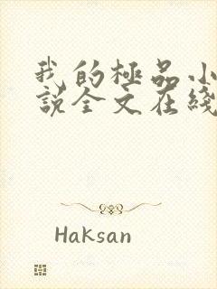 我的极品小姨小说全文在线阅读