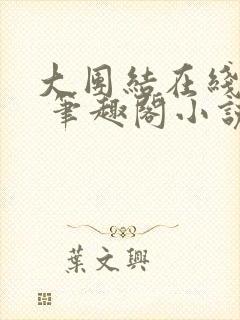 大团结在线阅读 笔趣阁小说封面