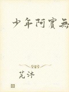 少年阿宾无删减