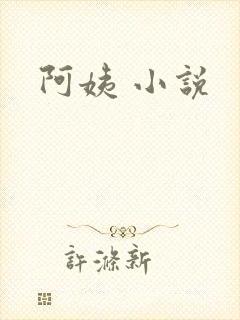 阿姨 小说