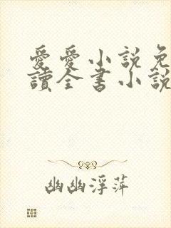 爱爱小说免费阅读全书小说乡村封面