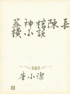 葬神棺陈长安纵横小说