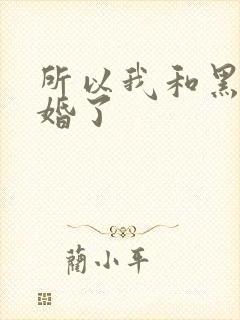 所以我和黑粉结婚了