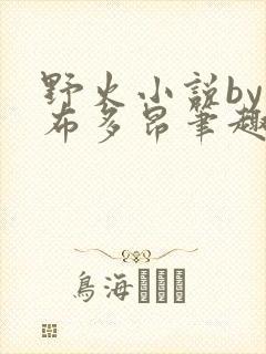 野火小说by夏布多昂笔趣阁