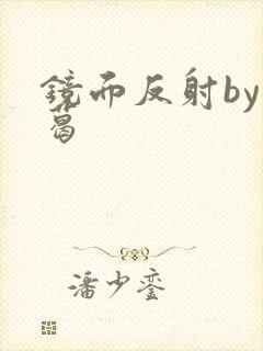 镜面反射by九葛