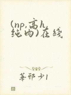 (np,高h,纯肉)在线