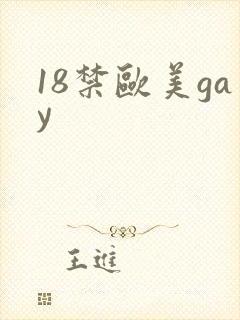 18禁欧美gay