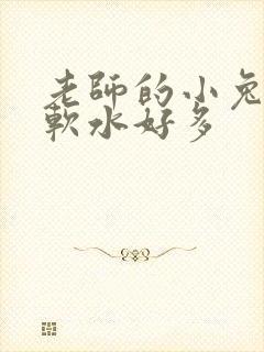 老师的小兔子好软水好多