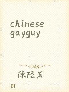 chinesegayguy封面