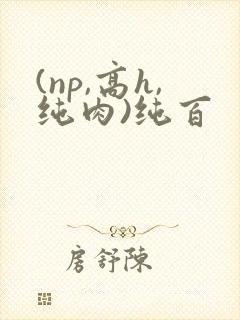 (np,高h,纯肉)纯百