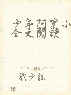少年阿宾小说 全文阅读封面