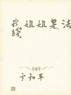 我姐姐是法官在线