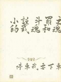 小说 斗罗之我的武魂和魂环能自己修炼
