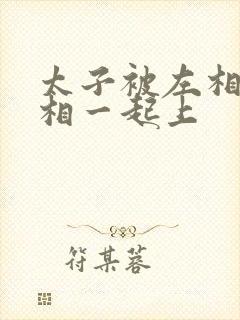 太子被左相和右相一起上