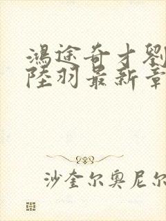 鸿途奇才刘云峰陆羽最新章节封面