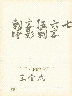 刺客伍六七十大暗影刺客封面