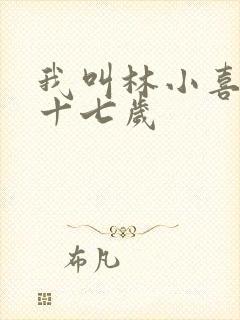 我叫林小喜今年十七岁封面