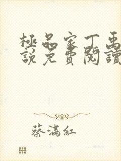 极品家丁禹岩小说免费阅读全文无删减