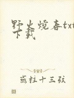 野火烧春txt下载封面