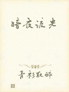 暗夜流光封面