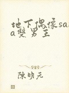 地下偶像sana双男主