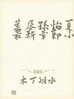 叶辰孙怡夏若雪最新章节小说心封面