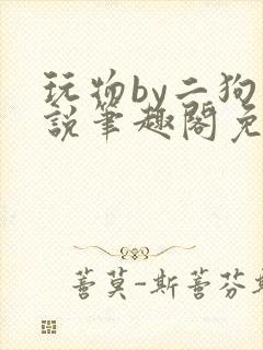 玩物by二狗小说笔趣阁免费阅读封面