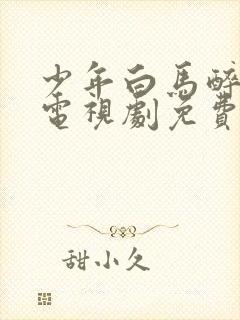 少年白马醉春风电视剧免费超清封面