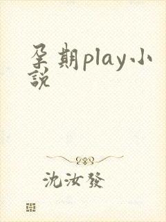 孕期play小说