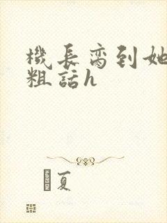 机长脔到她哭h粗话h封面