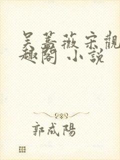 吴蔷薇宋观潮笔趣阁 小说封面